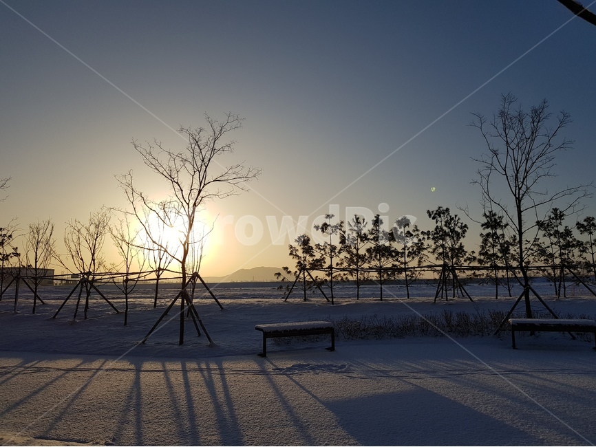 일출,해,풍경,자연,겨울,나무,겨울,계절,winter,season,자연,풍경,nature,landscape