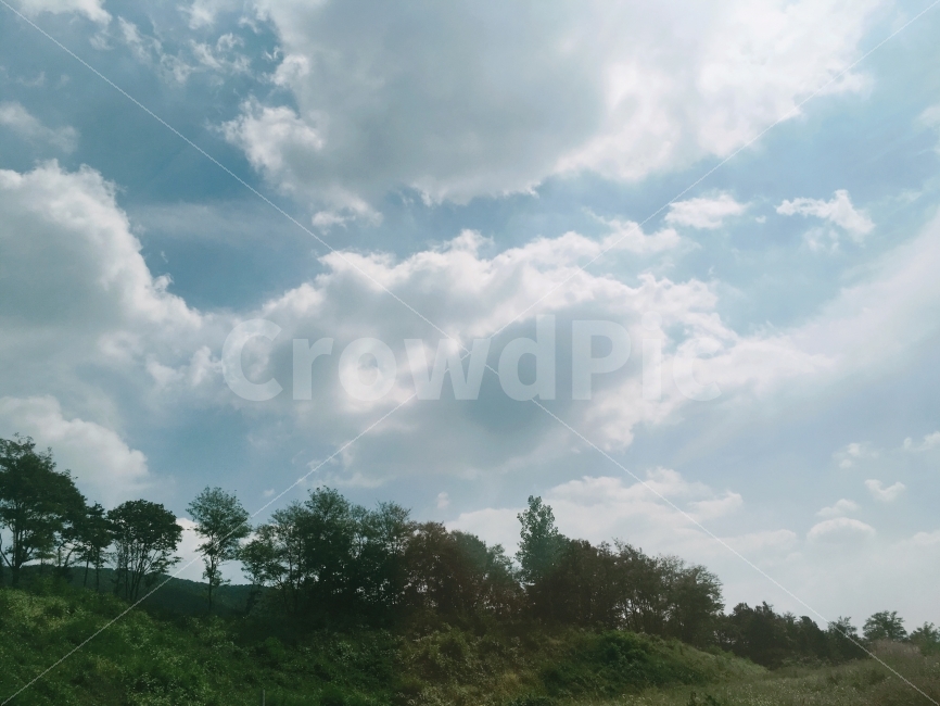 나무,구름,자연,풍경,바람,Tree,Sky,blue,Natural,Windy,Cloud,자연,풍경,nature,landscape,outdoors,옥외,weather,날씨