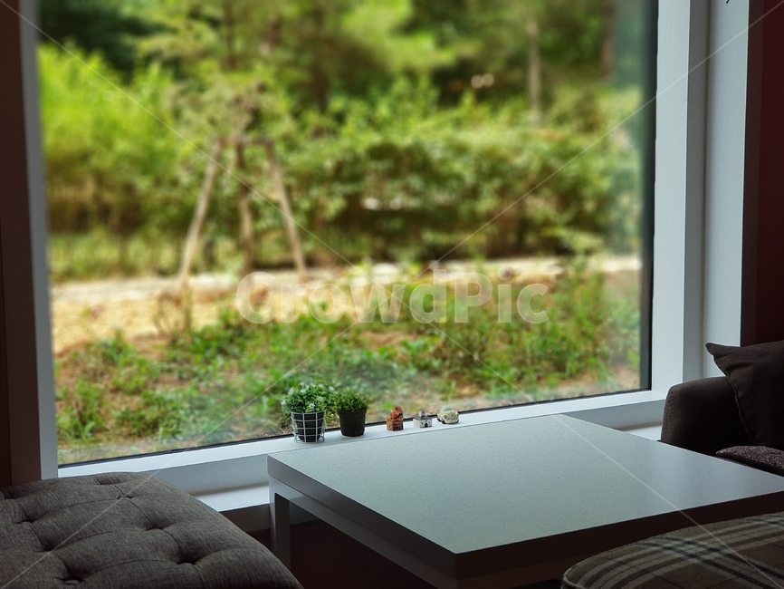 풍경,휴식,분위기,배경,힐링,화분,식물,인테리어,실내디자인,interior design