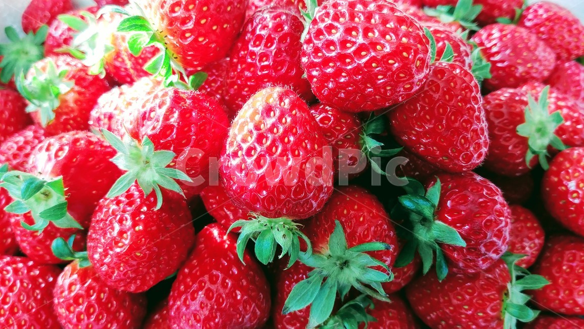 딸기,채소,간식,디저트,스트로우베리,음식,식재료,요리,food,cook,meal,dishes,food reserves,과일,열매,fruit