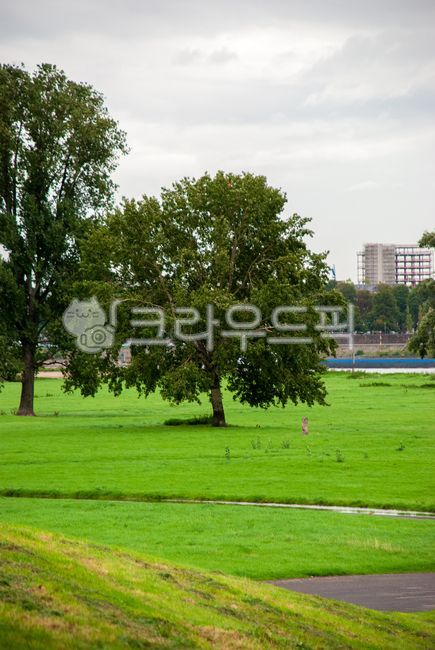 도시공원,녹지공원,잔디밭,나무공원,자연풍경,공원풍경,푸른잔디,휴식공간,도시녹지,공원낮