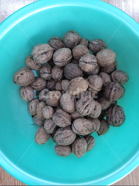 식물,호두,껍질,열매,음식,콩류,견과류,beans,pulse,nuts,dry fruits