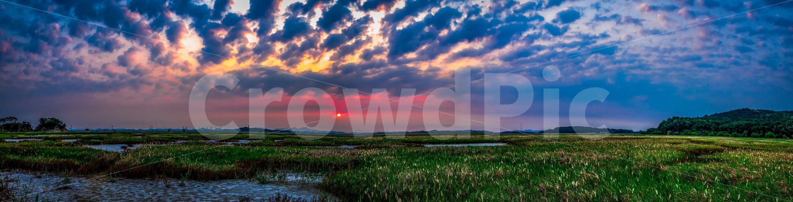 Susum,Mars,panorama,sight,Sunrise,Snail flower