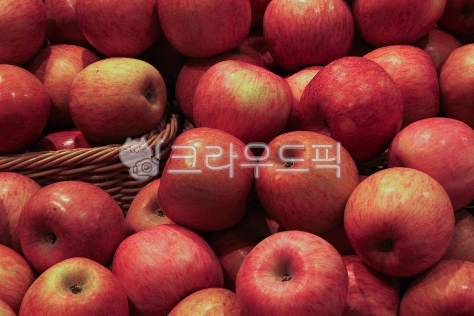 사과,과일,apple,fruit,음식,red,color,빨간사과