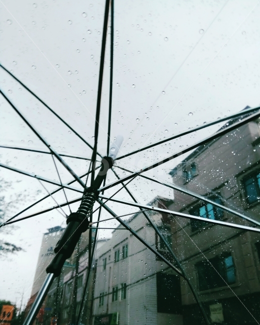 우산,비,날씨,겨울,흐림,빗방울,건물,가을비,겨울비,감성,감성사진,비,비오는날,rain,rainy