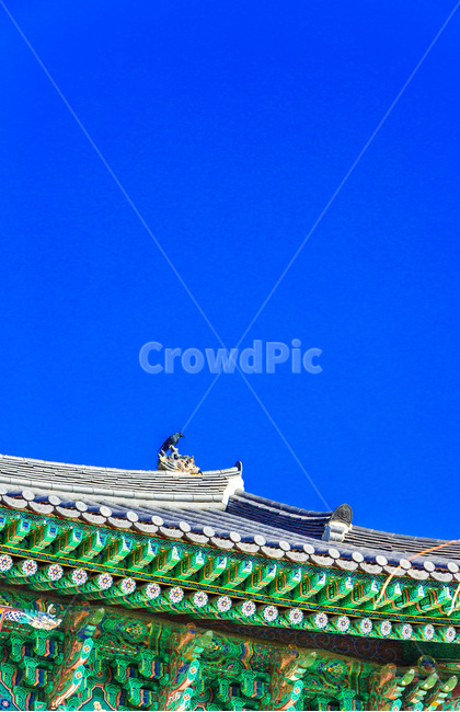 사찰,단청,전통,패턴,문화유산,한국전통,한국문화,korean traditional,korean culture,건축물,건물외관,exterior,building,structure,architecture,construction