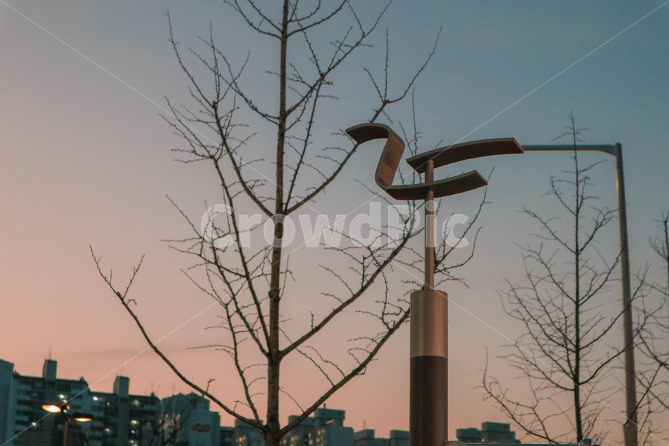 노을,가로등,나무,가을,sunset