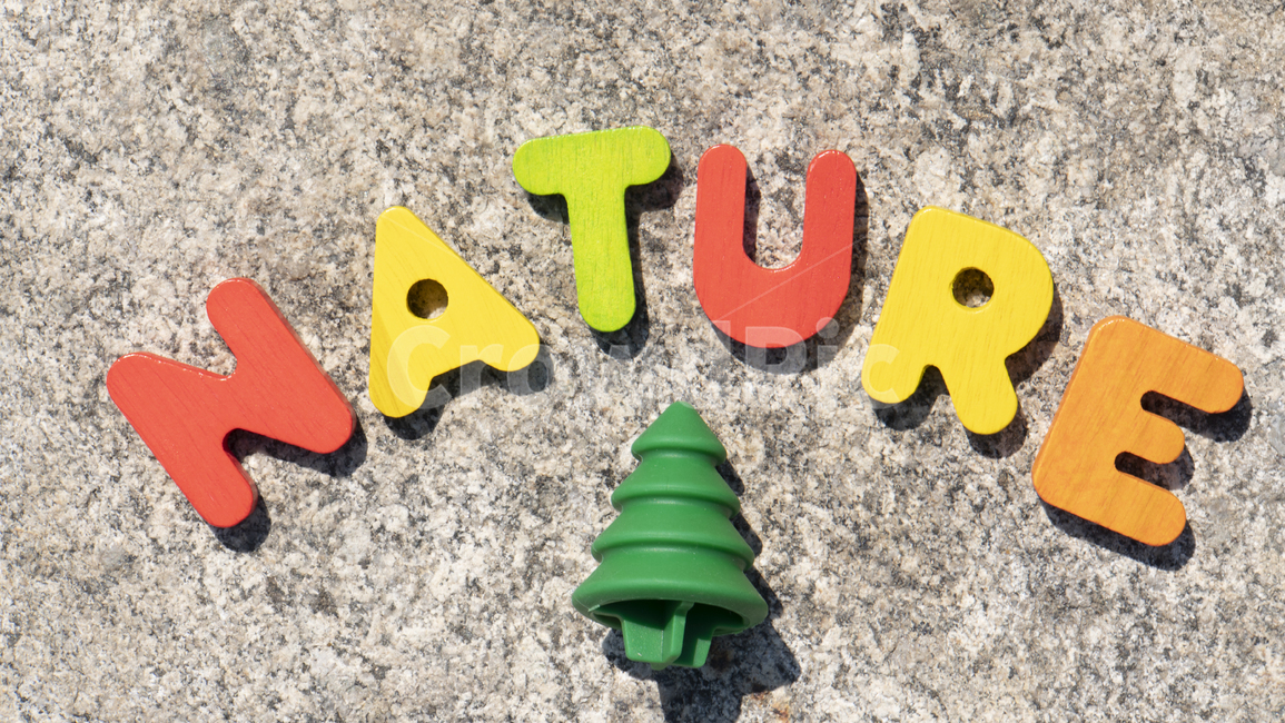 nature,글자배경,자연,알파벳,워드,word,자연배경,영어교구,나무,장난감,toy
