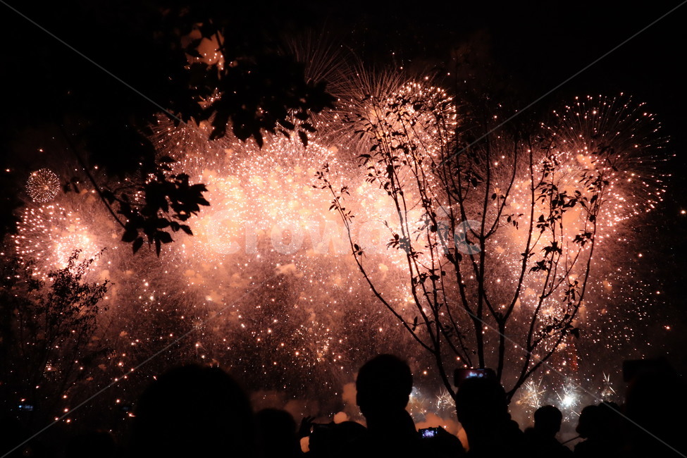 불꽃,불꽃놀이,불꽃축제,폭죽,밤,감성,축제,페스티벌