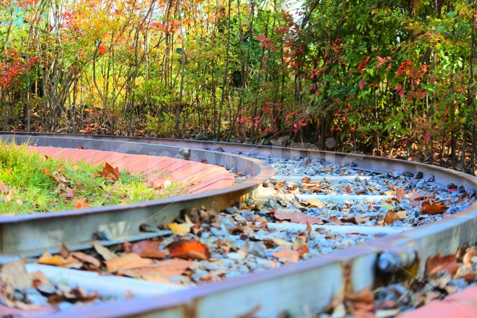 기차길,순천,순천만국가정원,니콘,여행,가을,계절,fall,autumn,season,교통,교통수단,traffic,transportation