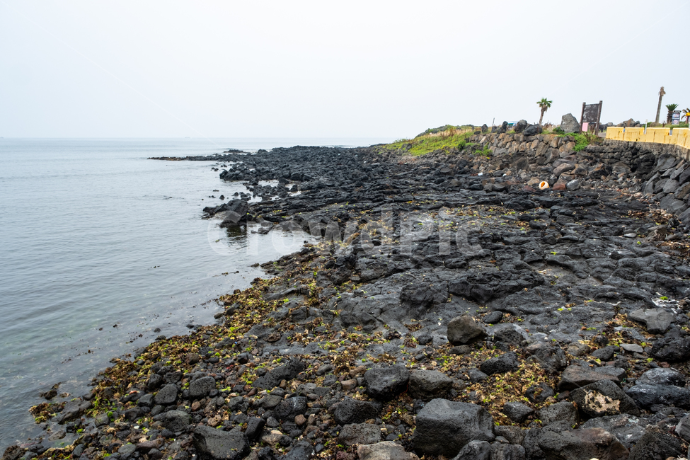 제주,제주도,우도,자연,아름다운풍경,풍경,비양도,섬,nature,jeju,해안가,해변가,돌,검은돌,검은해변,바다,바닷가,자연,풍경,nature,landscape,제주도,jeju,jeju island