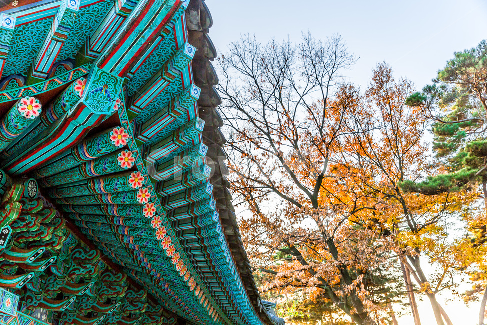 사찰,문양,처마,무늬,단청,문화유산,한국전통,한국문화,korean traditional,korean culture,건축물,건물외관,exterior,building,structure,architecture,construction