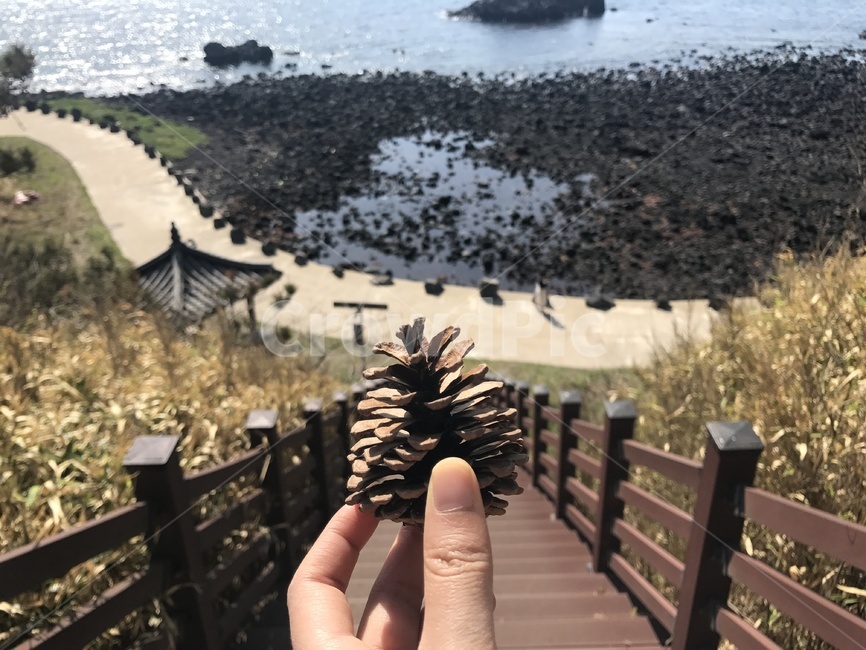 여행,제주,바다,추억,풍경