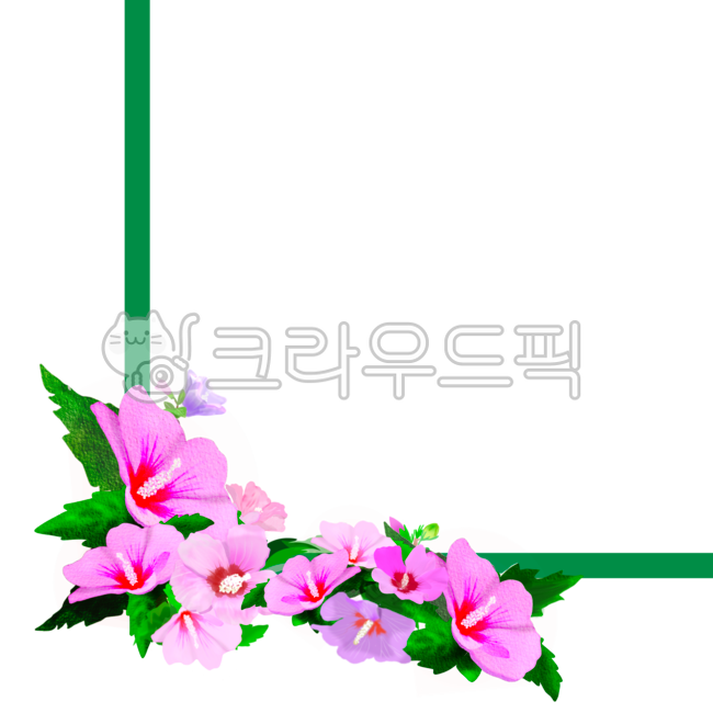 National anthem,June,national flower,Independence Movement Day,Rose of Sharon decoration,national holiday,Liberation Day,Memorial Day,korea,our country,Chrysanthemum,hibiscus,Rose of Sharon,625,patriotism,illustration,love of country,Rose of Sharon illust
