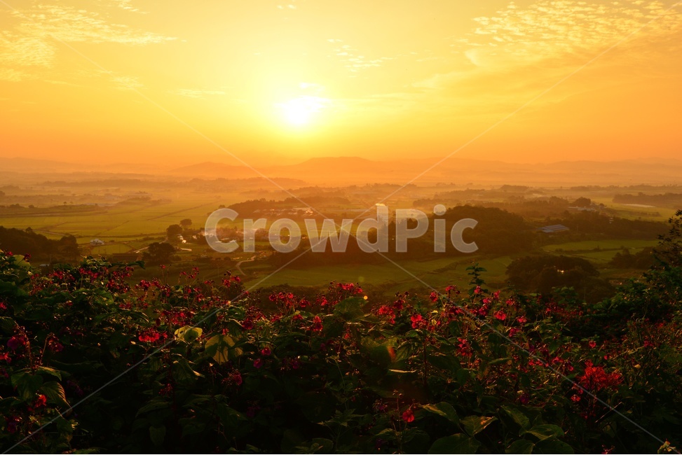 nature,자연,scenery,풍경,outdoors,옥외,landscape,경치,sunlight,햇빛,flare,플레어,light,빛,함평,밀재,밀재일출,아침,해돋이,여명