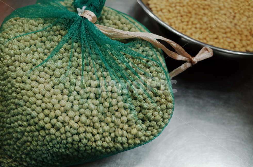 콩자루,콩푸대,콩수확,수확,harvest,햇콩,bean,soybean,식물,곡물,grain