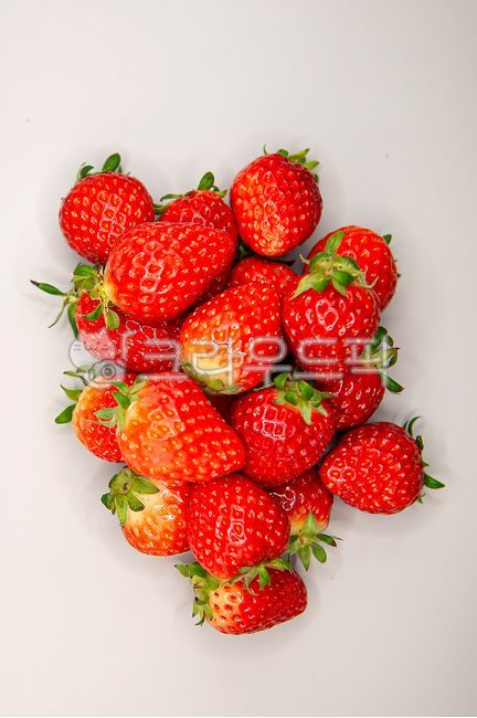 과일,딸기,fruit,붉은색,쌍떡잎식물,장미과,과채류,씨앗,비타민C,시설재배,노지재배