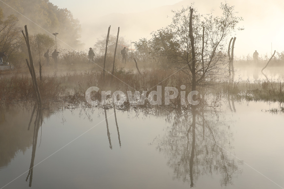 안개,호수,나무,반사,물,자연,풍경,nature,landscape,한국자연풍경,한국자연경관,korea nature landscape
