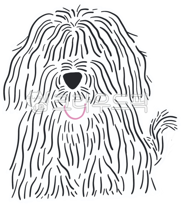 삽살개,삽사리,강아지,개,강아지의날,견종,털복숭이강아지,털복숭이,삽살강아지,펫,펫샵,유기견,유기견보호소