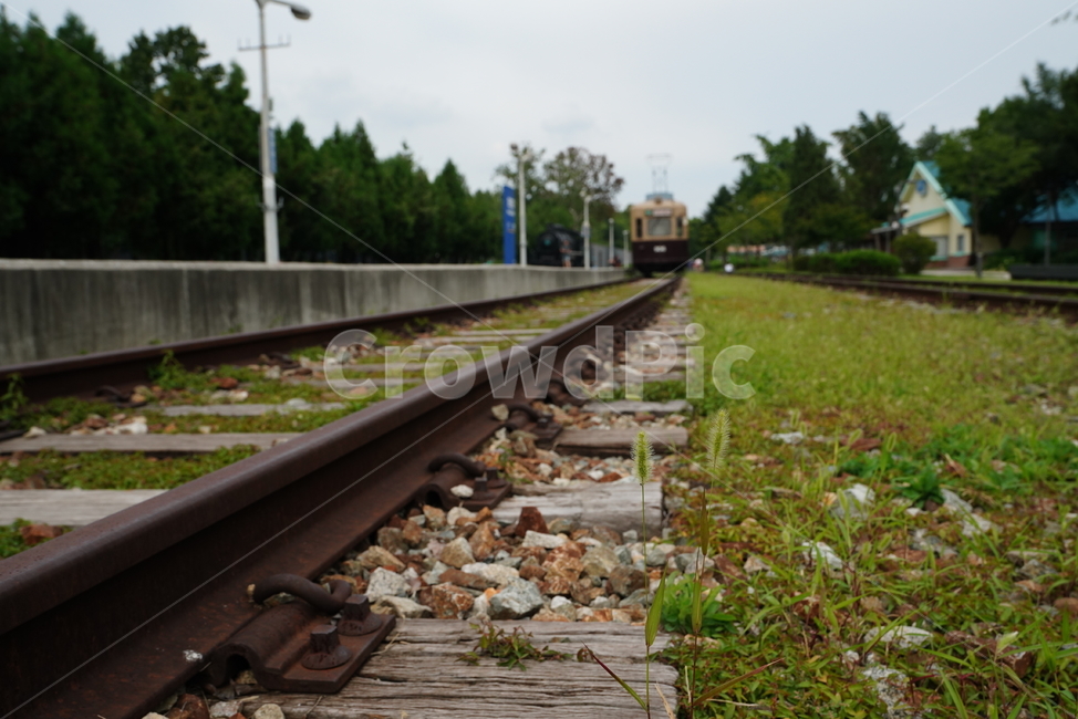 철도,레일,rail,기찻길,길,road,transportation,교통,railway