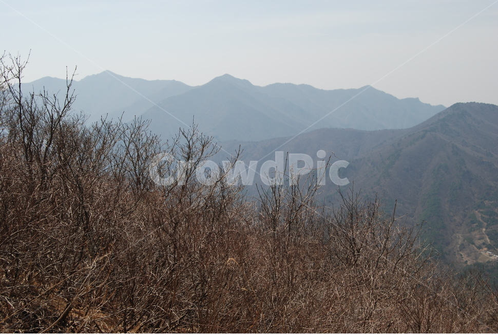고헌산,외향재,봄,꿀벌,등산로,능선,치유,여행,돌,산행,힐링,자연,동행,등산,계절,한국,한국명산,한국등산,풍경,나무,하늘,바람,땅,자연,풍경,nature,landscape,한국자연풍경,한국자연경관,korea nature landscape,mountain,산,mountain range,산맥,outdoors,옥외,plant,식물,grass,잔디