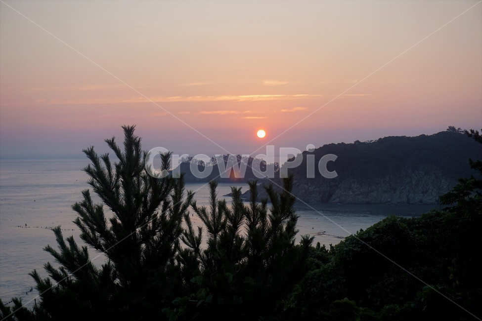 자연,일몰,일출,해,바다,자연,풍경,nature,landscape,tree,나무,plant,식물,fir,전나무,outdoors,옥외