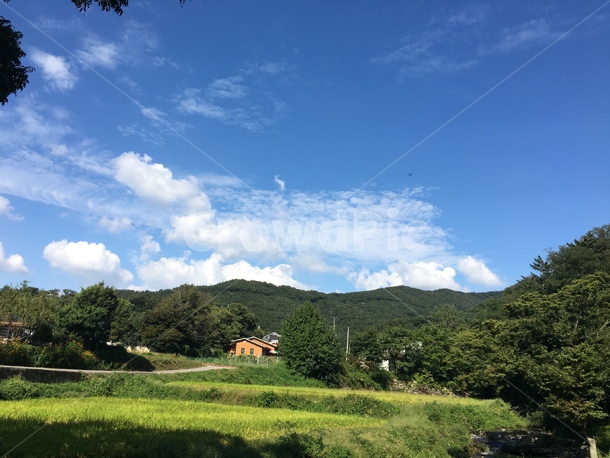 자연,nature,논밭,구름,하늘,자연,풍경,nature,landscape,outdoors,옥외