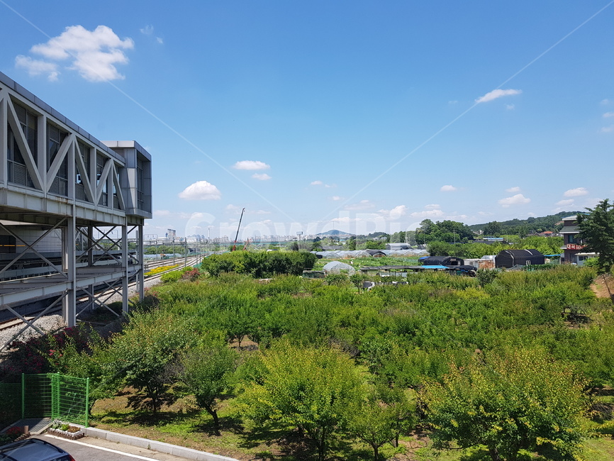 자연,역,전철역,풍경,나무,구름,하늘,nature,station,subwaystation,train,subway,지하철,landscape,sky,cloud,wood