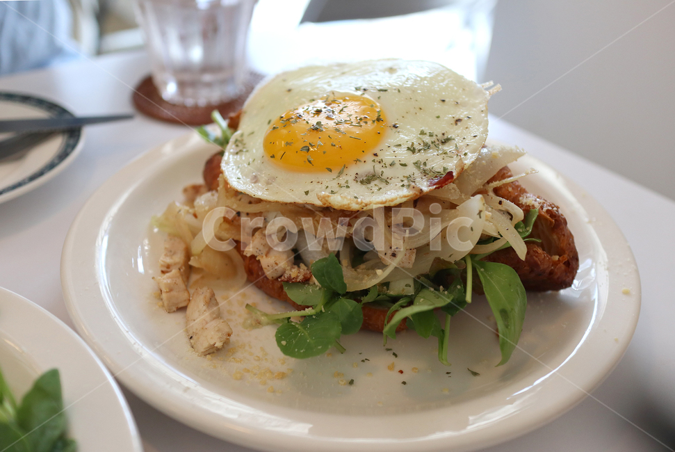 브런치,카페,샌드위치,계란,반숙,음식,식재료,요리,food,cook,meal,dishes,food reserves,아침식사,조식,브런치,breakfast,brunch