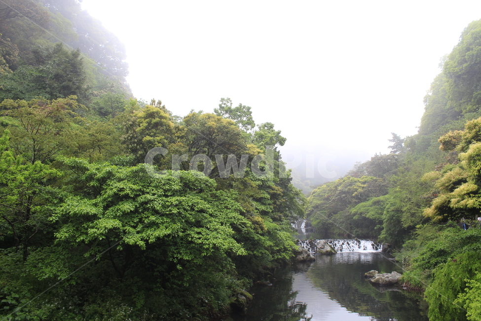 숲,강,폭포,안개,물안개,숲속,호수,계곡,자연,nature,natural,fog,forest,나무,tree,자연,풍경,nature,landscape,outdoors,옥외