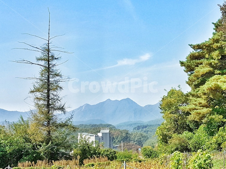나무,하늘,산,초록,구름,풍경,침엽수,자연,경치,nature,landscape