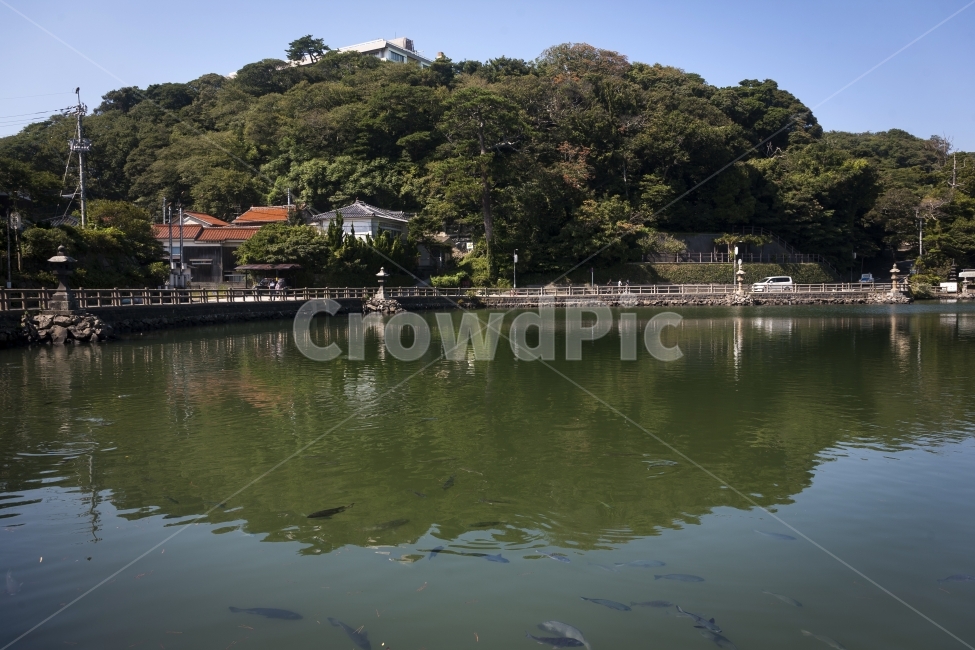호수,lake,물고기,fish,하늘,sky,시골,마을,풍경,landscape,country,rural,town,해외,외국,세계,foreign,oversea,world