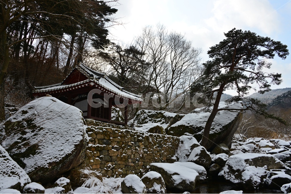 nature,자연,outdoors,옥외,ice,빙,plant,식물,tree,나무,roof,지붕,바위,광주,북구,무등산,풍암정,풍암정설경,설경,겨울,계절,눈
