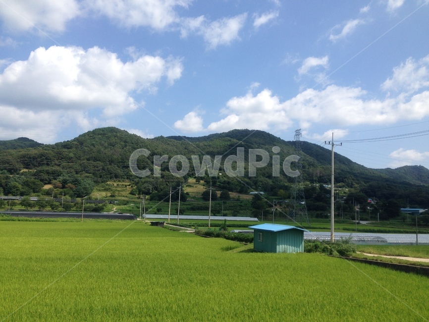 하늘,나무,구름,시골,밭,산,sky,bluesky,tree,peace,peaceful,cloud,country,countryside,rural,farm,field,glebe,mountain