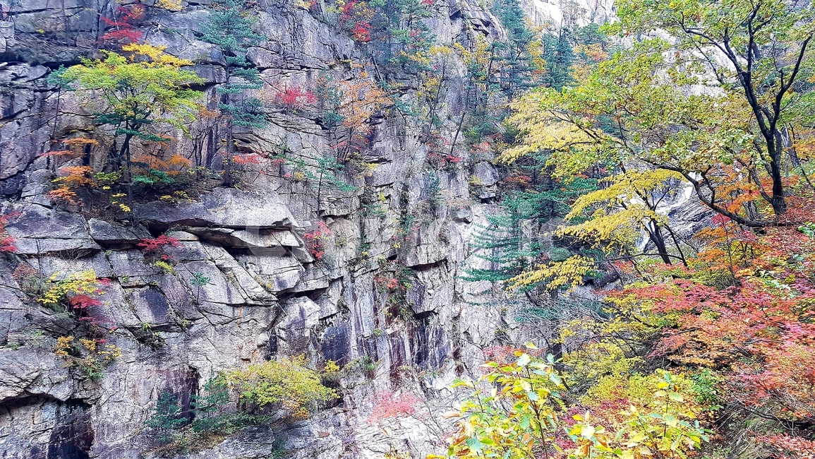 설악산,국립공원,가을,단풍,천불동계곡,기암괴석,가을,계절,fall,autumn,season,자연,풍경,nature,landscape,한국자연풍경,한국자연경관,korea nature landscape,outdoors,옥외