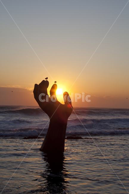 일출,갈매기,자연,nature,ocean,대양,sea,바다,water,bird,물,outdoors,flare,플레어,빛,파도,호미곶,sunlight,햇빛,조각상,동상,석상,조형물,statue,bronze statue,stone statue