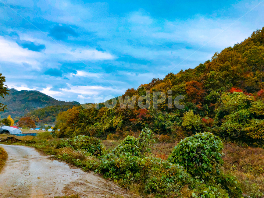 시골풍경,풍경,시골,산,초록초록,나무,하늘,푸르르다,산골,가을,계절,fall,autumn,season,자연,풍경,nature,landscape,outdoors,옥외,water,물