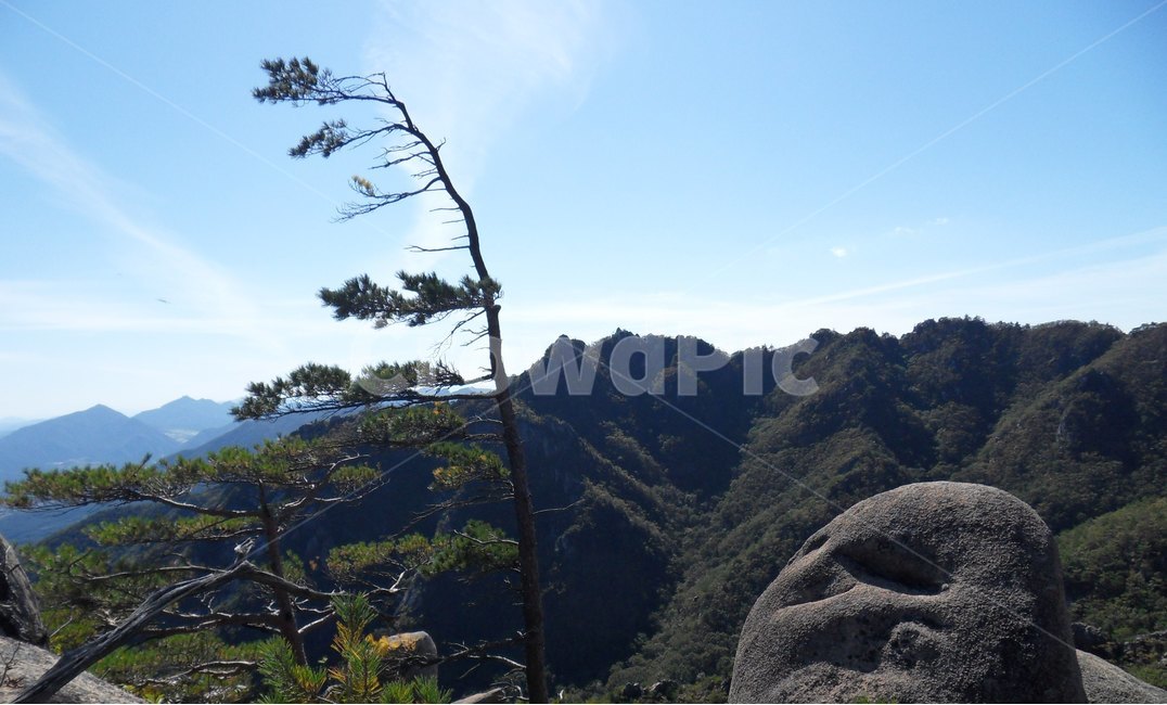 바위와소나무,가야산,가을하늘,가을정취,만물상,gayamountain,rock,pine,sky,자연,풍경,nature,landscape,한국자연풍경,한국자연경관,korea nature landscape,outdoors,옥외,tree,나무,plant,식물