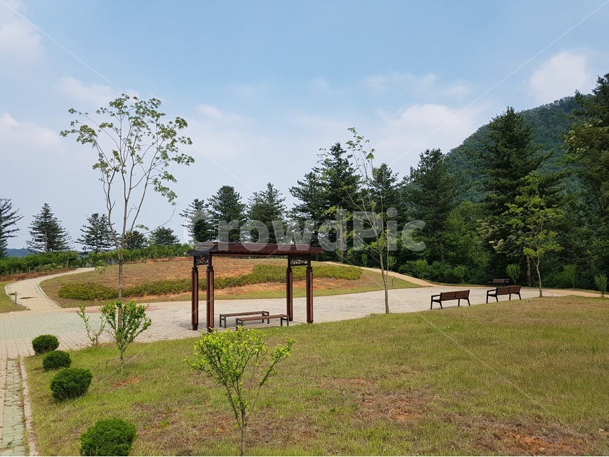 나무,숲,공원,park,tree,forest,자연,풍경,nature,landscape,plant,식물,grass,잔디