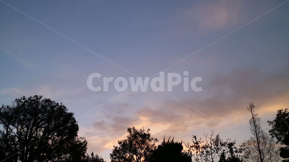 하늘,구름,노을,해질녘,풍경,바탕화면,나무,sky,clouds,sunset,view,nature,자연,자연,풍경,nature,landscape,silhouette,실루엣,outdoors,옥외