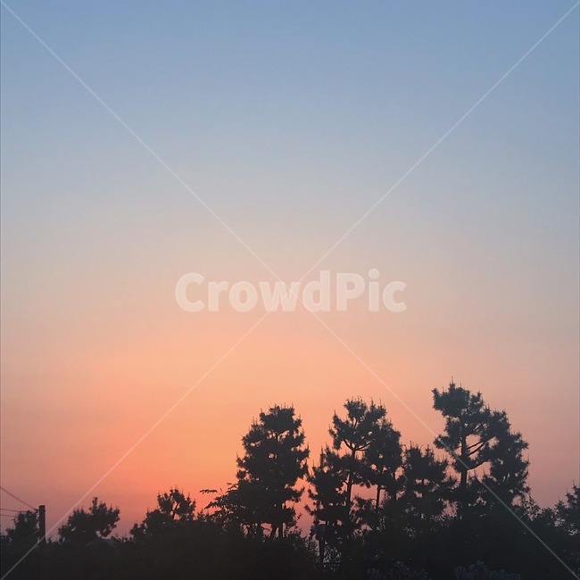 노을,하늘,저녁,나무,sunset,glow,sky,tree