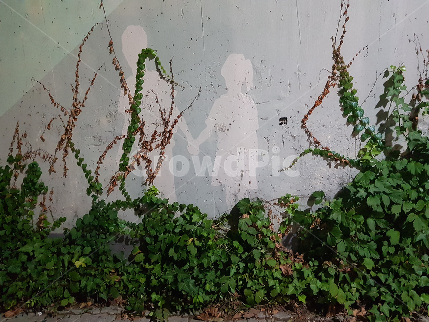 담쟁이,덩굴,소년,소녀,벽화,실루엣,벽,식물,vine,mural,plants,boy,girl,wall,concrete,silhouette,ivy