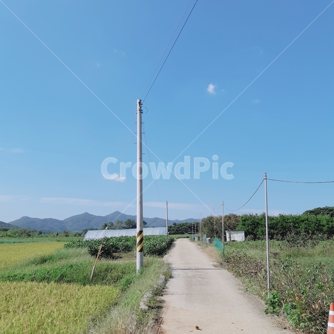시골길,풍경,하늘,밭,자연,색감,자연,풍경,nature,landscape,시골,마을,country,rural,town,road,도로
