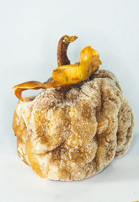 곶감,꽃감,감,얼린감,명절,제사,식물,음식,감나무,과일,열매,fruit