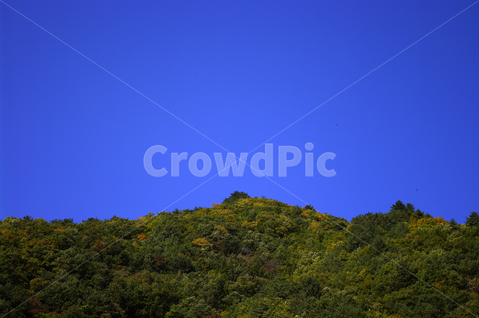 하늘,산,숲,나무,풍경,자연,풍경,nature,landscape,outdoors,옥외,adventure,모험,leisure activities,레저 활동