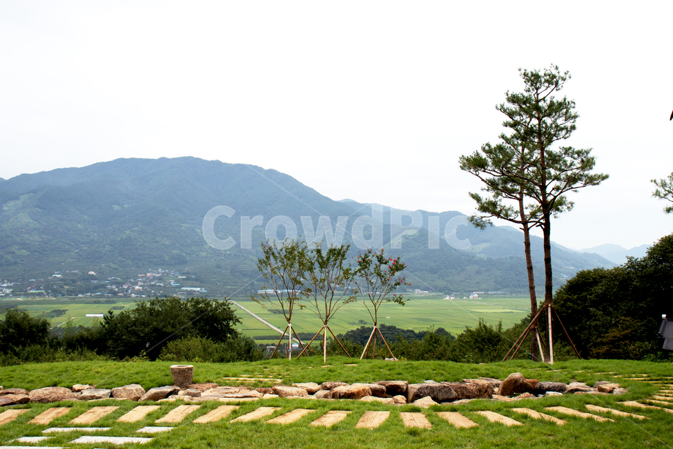 하늘,sky,옥외,nature,자연,land,땅,산,나무,경치,자연경관,자연경치,mountain,mountains,tree,grassland,목초지,field,들,outdoors,paddyfield,패디필드,countryside,시골,시골경관,시골경치,들판,밭,논,자연배경,farm,ricepaddy,scene,natureview,시골길,acountrylane,acountryroad,길,road,lane,plant,식물,grass,잔디,lawn,돌담길