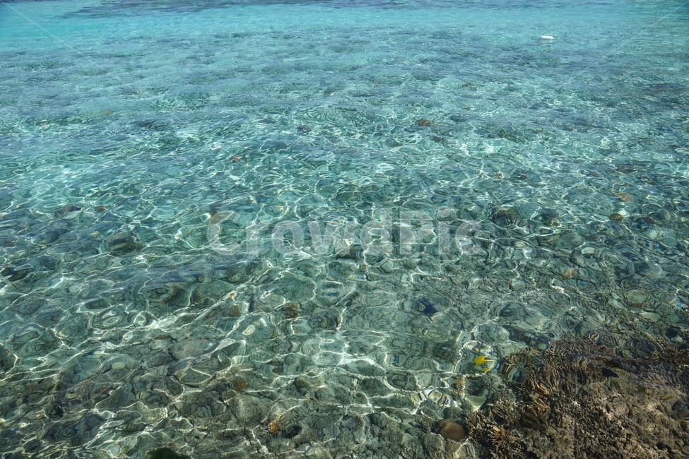 바다,에머랄드빛,깨끗,beach,sea,물,water