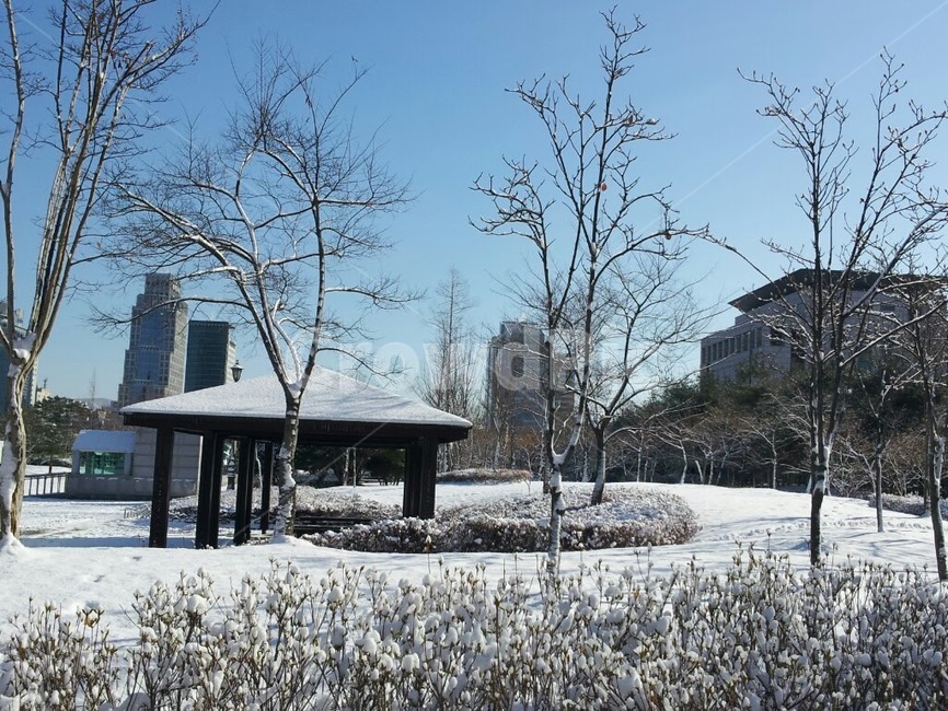 겨울눈,설경,겨울배경,폭설,눈길,겨울,계절,winter,season,자연,풍경,nature,landscape,outdoors,옥외