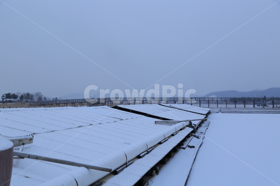 겨울,눈,풍경,경치,아침,염전,하얀,겨울,계절,winter,season