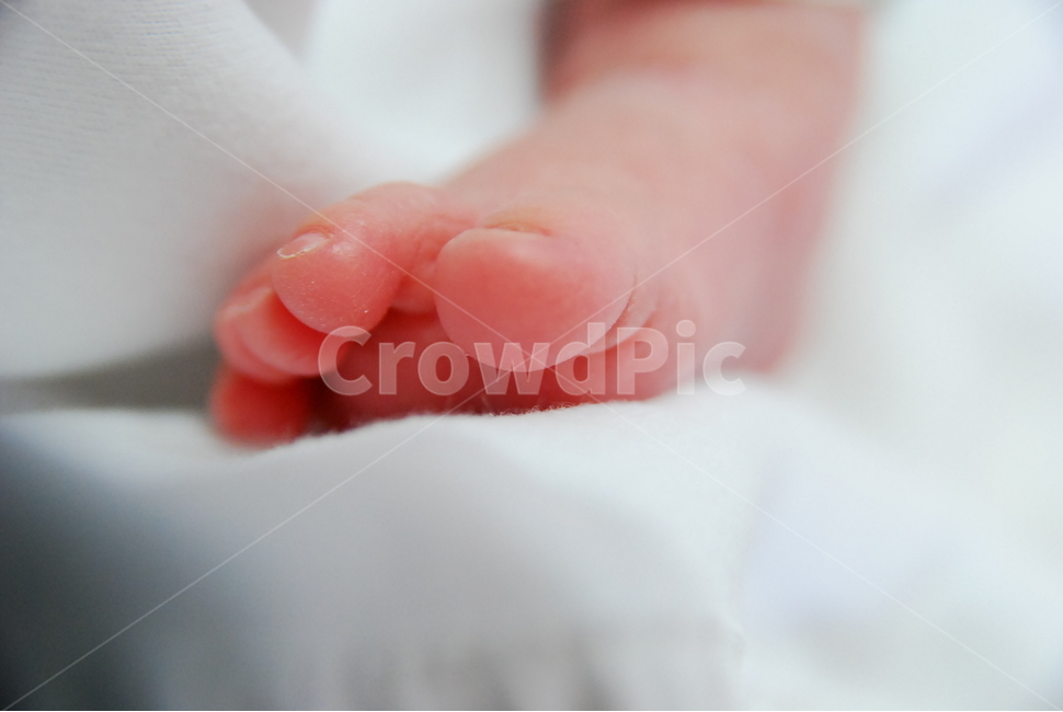 아기,아기발,baby,갓난아기,귀여움,작은발,애기발,아가,사람,인물,인간,human,person,신체일부,몸,body,영유아,아기,애기,아이,infants,baby